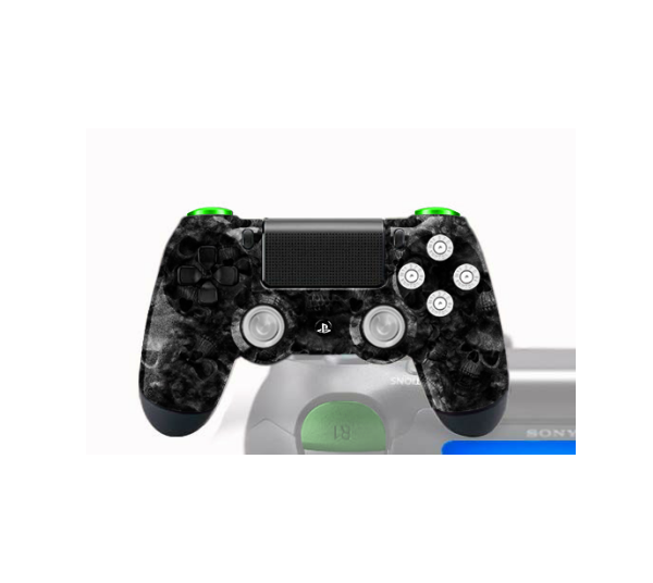 PS4 Controllers Personnalisée Échidna