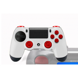 PS4 Controllers Personnalisée Meltdown