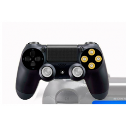 Manette PS4 pour PC Personnalisée Meltdown