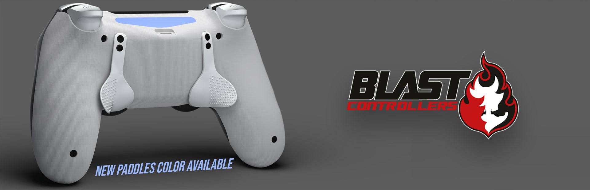 manette ps4 personnalisée avec Palettes - Blast Controllers